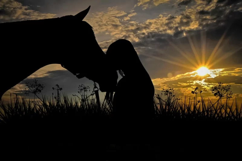 Лошадь Ириска, девушка, вечер, воспоминание, жизнь, радость, любовь, ностальгия, лето