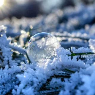 Стеклянный шар, снег, деревья, ветки, зима, солнце, простое счастье