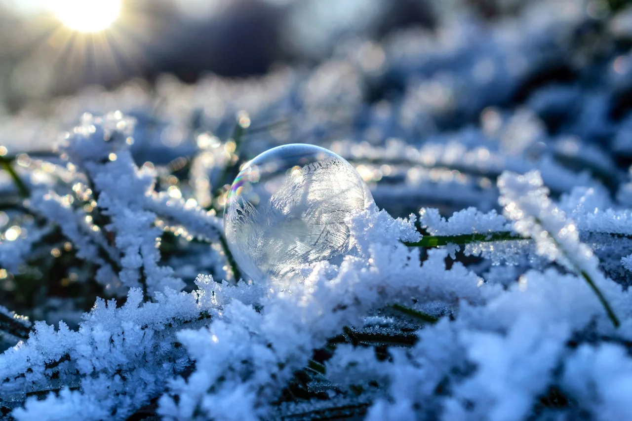 Стеклянный шар, снег, деревья, ветки, зима, солнце, простое счастье